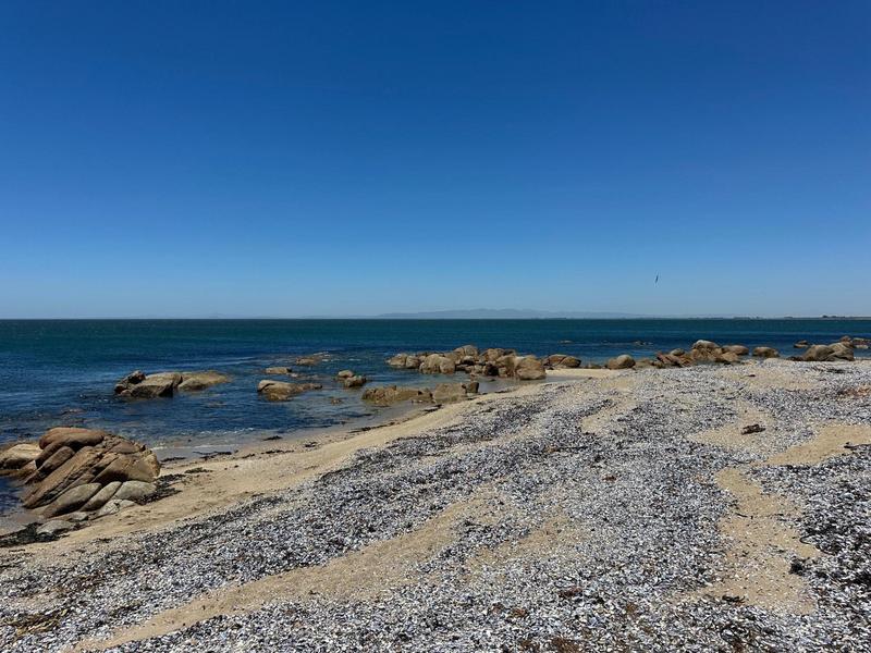 0 Bedroom Property for Sale in St Helena Views Western Cape